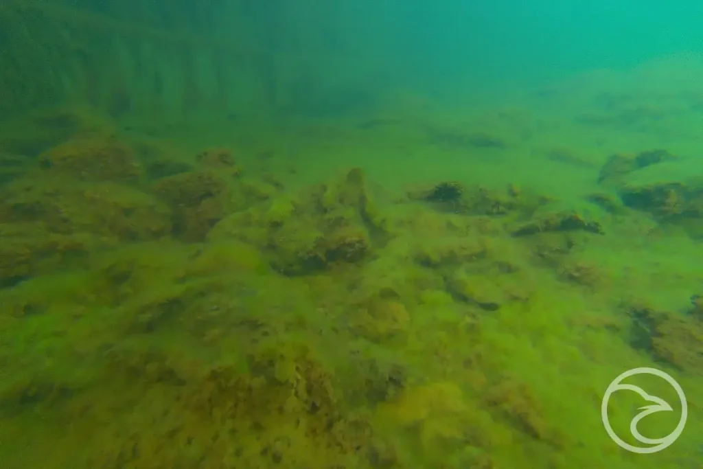 using drones to monitor tank conditions in water storage systems