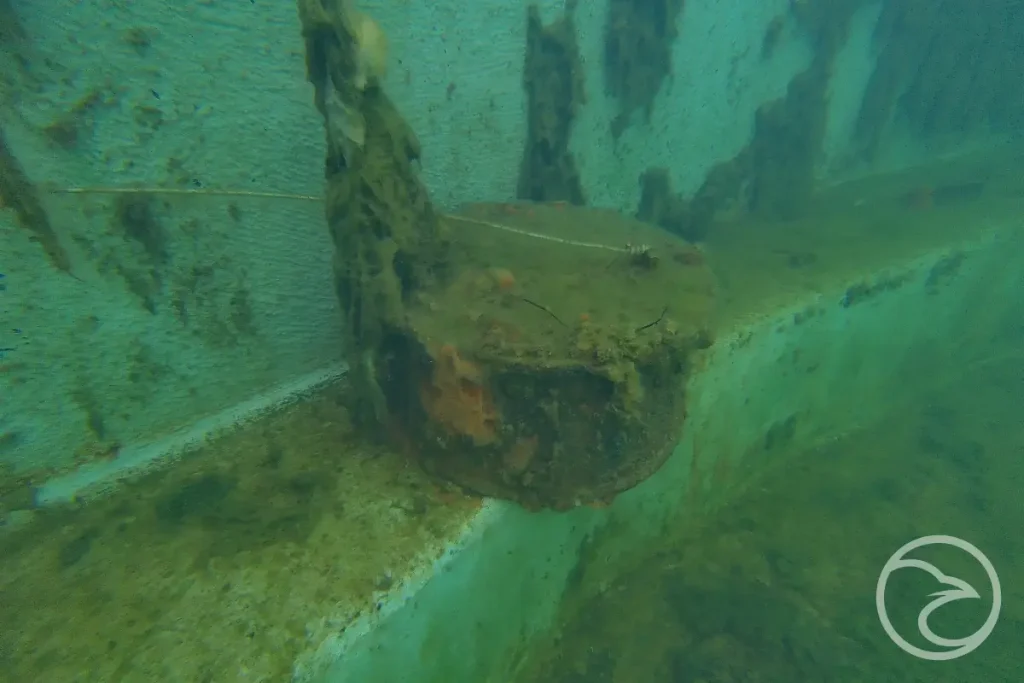 ROV monitoring internal conditions inside a water storage tank