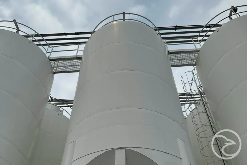 visual check performed during silo evaluation